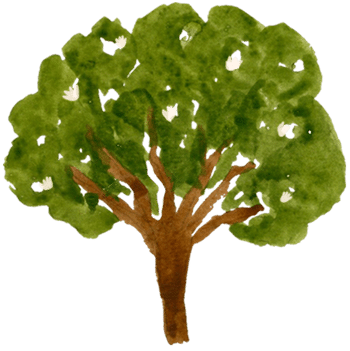 tree01 tree01